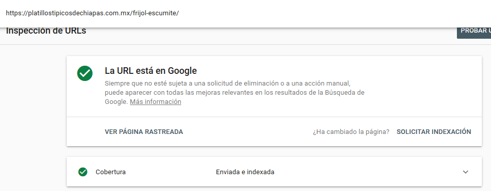experimento SEO posicionando un dominio sin contenido