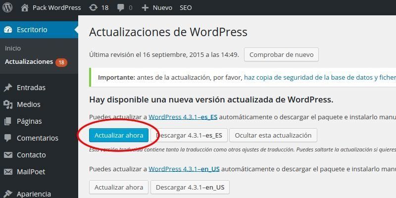 mantener seguro tu wordpress actualizandolo