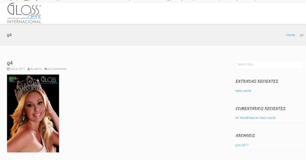 configurando post y paginas con yoast SEO