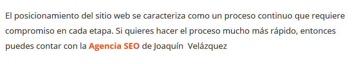 joaquin velazquez consultor SEO
