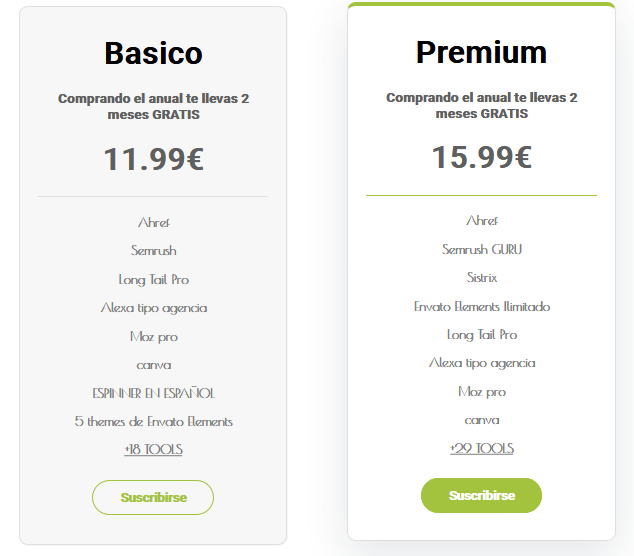 conjunta SEO precios