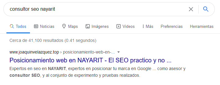 consultor SEO nayarit