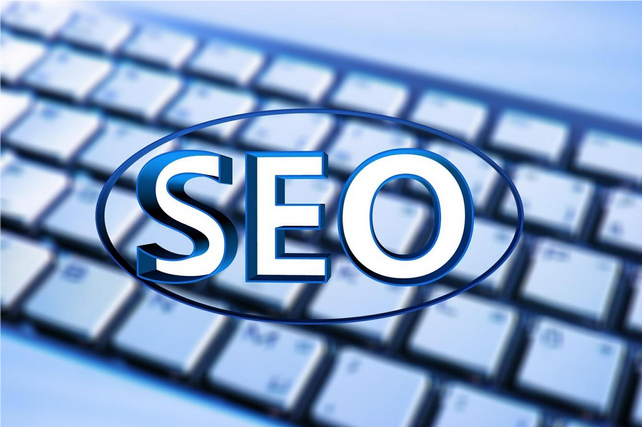 diferencias contuto seo vs novato seo