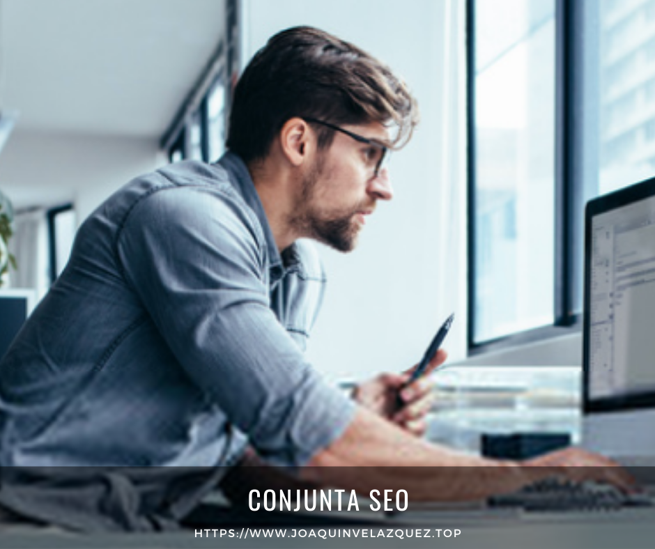 conjunta seo
