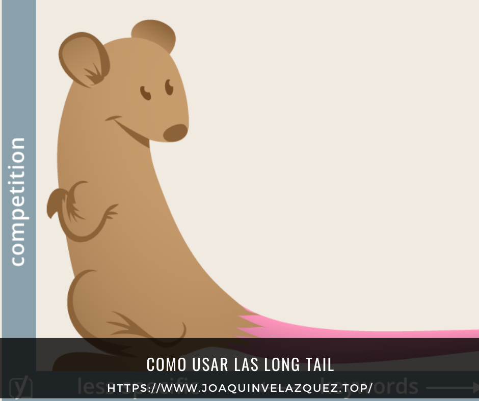 Como usar las long tail