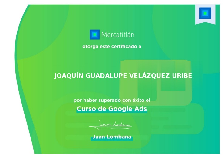 Google Ads Mercatitlán