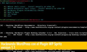 Hackeando WordPress con el Plugin WP Spritz version 1.1